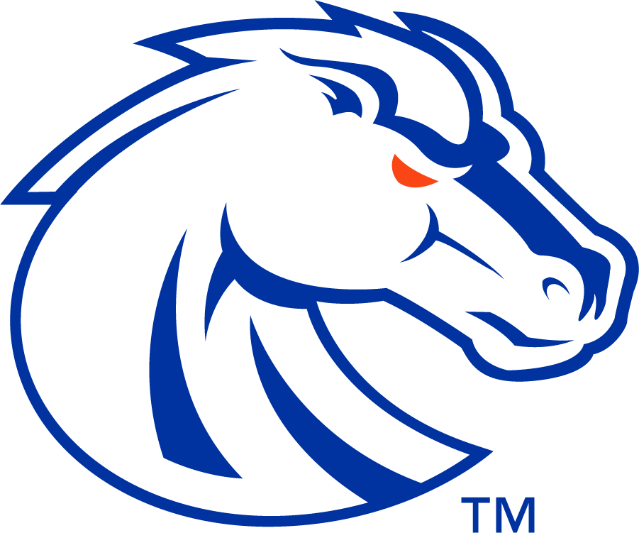 Boise State Broncos 2013-Pres Secondary Logo v4 iron on transfers for clothing